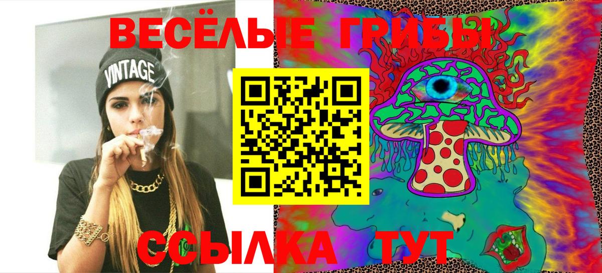 Галлюциногенные грибы Psilocybine cubensis Бийск