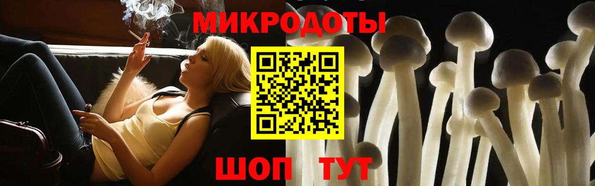 цены наркотик  Вход с VPN  Бийск  Галлюциногенные грибы Psilocybe 